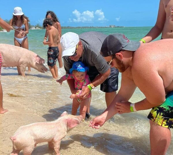 piggy-swim-nassau